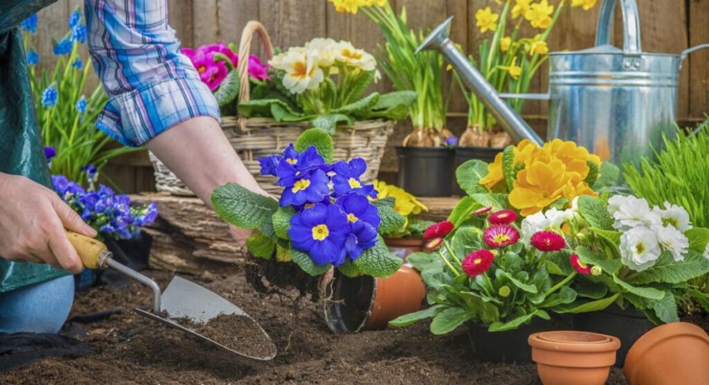 زنی در حال کشت گل در باغچه