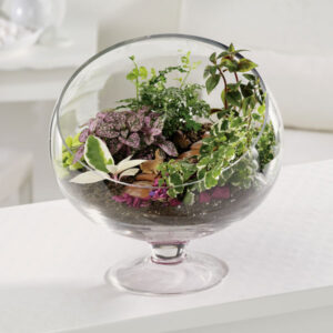 گلدان شیشه ای باغ کوچک